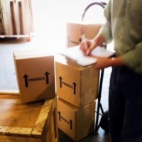 1shipping