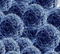 nanoparticles