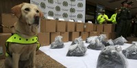 Drug sniffer dog Mona and the cocaine in toner powder seized at Bogotá’s El Dorado airport (Credit: John Vizcaino/Reuters)