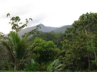 Papa New Guinea