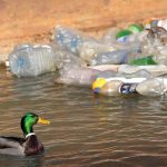 Britain struggles with plastic waste problem