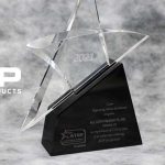 ACP achieves Canon ATSP National Service Award